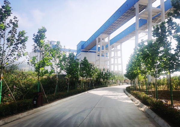 1647312115190533.jpg 24d2625725e4e08d30a04028133bee6a.jpg