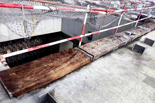 1696833897209007.jpg 图片2_副本.jpg