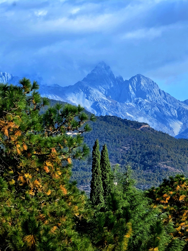 1702019015209120.jpg ͼÎå_¸±±¾.jpg