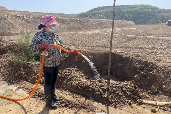 1712541607206774.jpg 4_¸±±¾.jpg