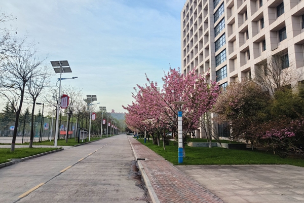 ��ͼ (1)_����.jpg