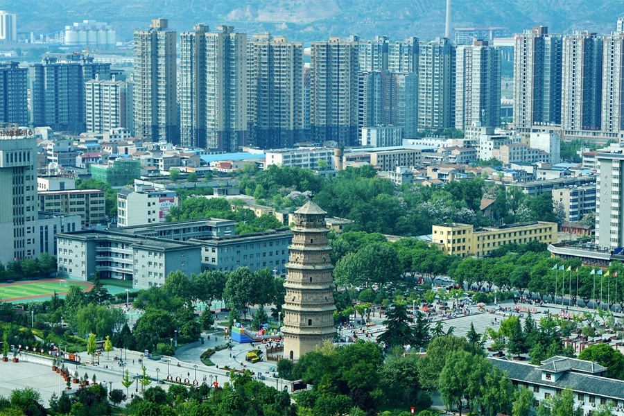 Զ��������