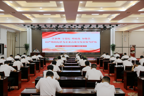 1719622138153366.png 3C9A1763(1)_副本.png