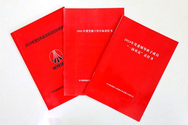 1729309383828342.jpg 1_¸±±¾.jpg