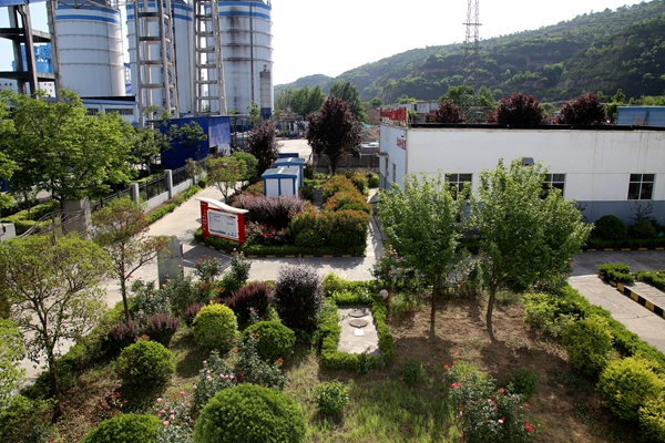 1730368255115465.jpg ÂÌÖ²ÔÔÖÖ_¸±±¾.jpg