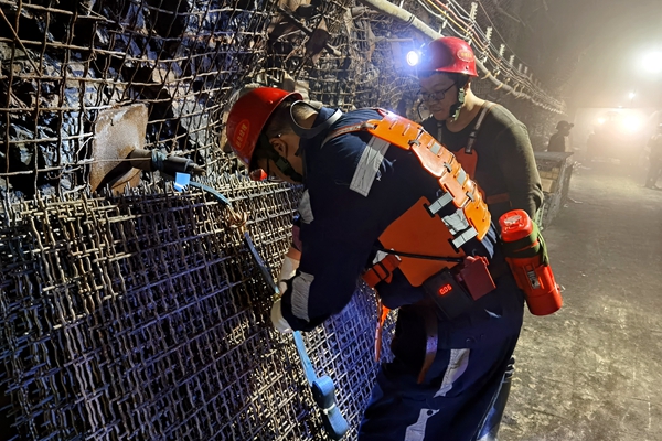 1737446360181896.jpg Åäͼ2_¸±±¾.jpg