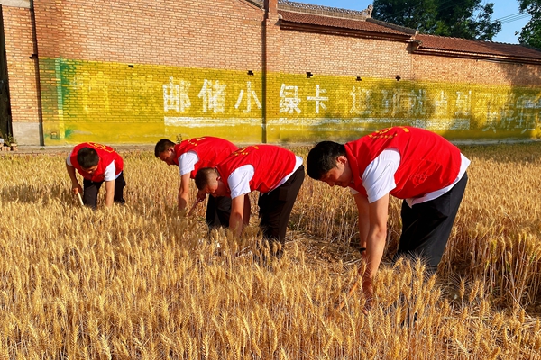 1749782538837259.jpg 1_¸±±¾.jpg