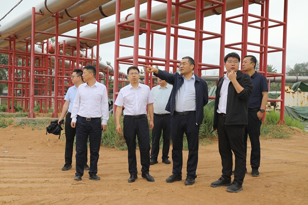 1750921514937778.jpg 0A8A0122_¸±±¾_¸±±¾.jpg